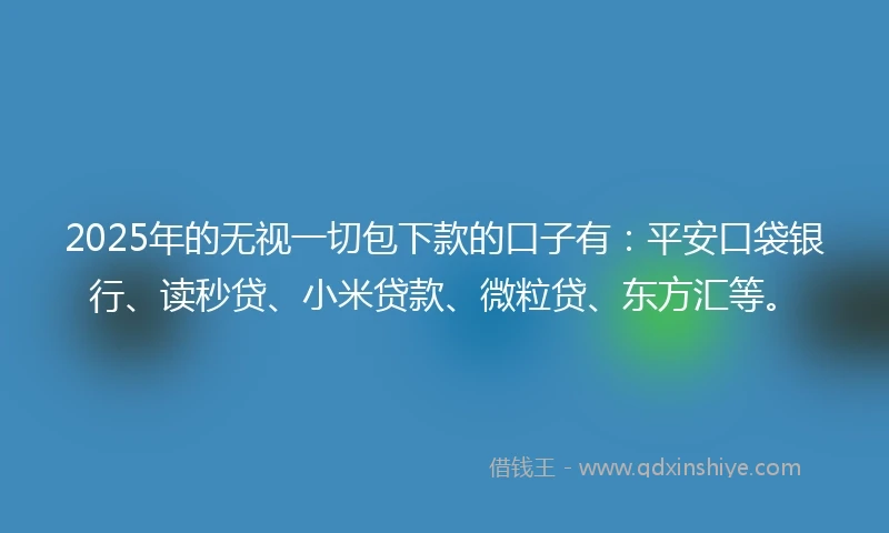 2025年的无视一切包下款的口子有：平安口袋银行、读秒贷、小米贷款、微粒贷、东方汇等。