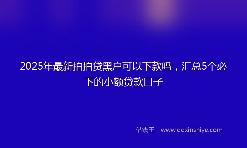 2025年最新拍拍贷黑户可以下款吗，汇总5个必下的小额贷款口子
