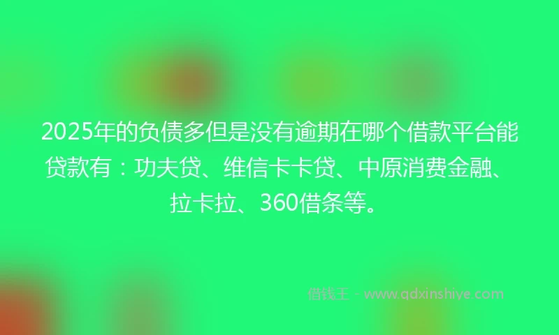 2025年的负债多但是没有逾期在哪个借款平台能贷款有：功夫贷、维信卡卡贷、中原消费金融、拉卡拉、360借条等。