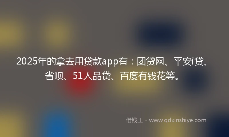 2025年的拿去用贷款app有：团贷网、平安i贷、省呗、51人品贷、百度有钱花等。