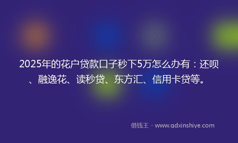 2025年的花户贷款口子秒下5万怎么办有：还呗、融逸花、读秒贷、东方汇、信用卡贷等。