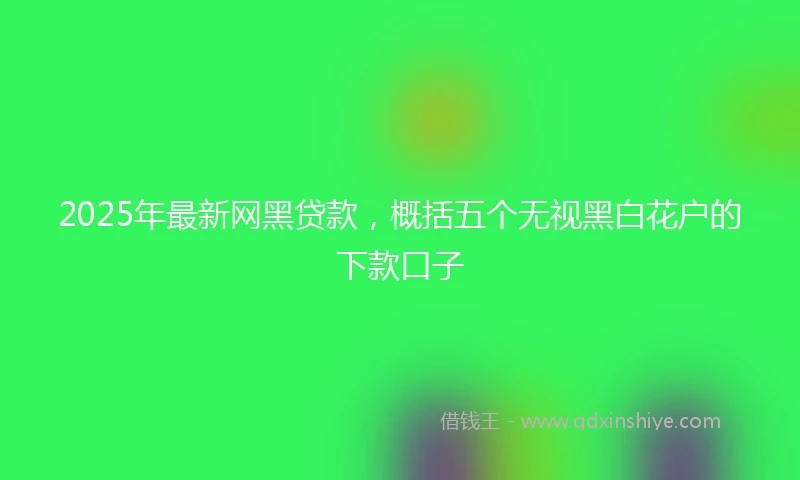 2025年最新网黑贷款，概括五个无视黑白花户的下款口子