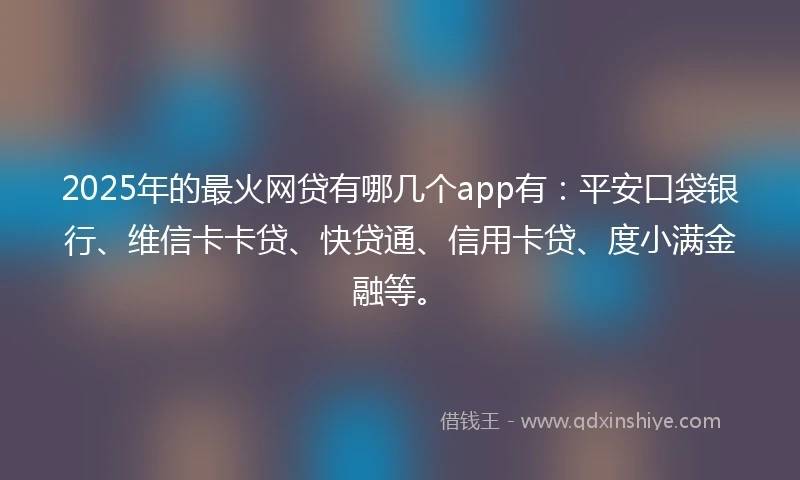 2025年的最火网贷有哪几个app有：平安口袋银行、维信卡卡贷、快贷通、信用卡贷、度小满金融等。
