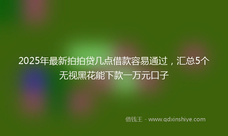 2025年最新拍拍贷几点借款容易通过，汇总5个无视黑花能下款一万元口子