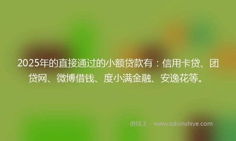 2025年的直接通过的小额贷款有：信用卡贷、团贷网、微博借钱、度小满金融、安逸花等。