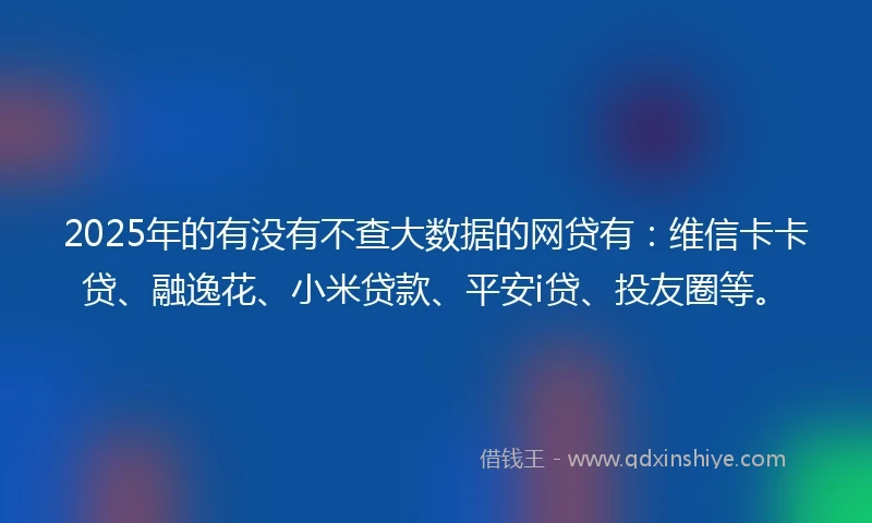 2025年的有没有不查大数据的网贷有：维信卡卡贷、融逸花、小米贷款、平安i贷、投友圈等。