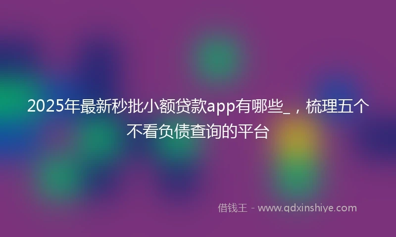 2025年最新秒批小额贷款app有哪些_，梳理五个不看负债查询的平台