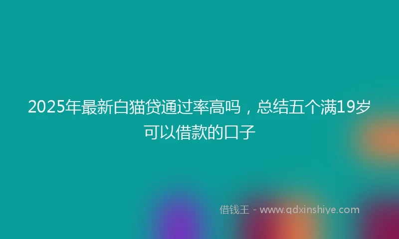 2025年最新白猫贷通过率高吗，总结五个满19岁可以借款的口子