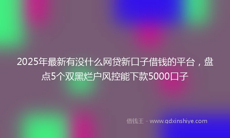 2025年最新有没什么网贷新口子借钱的平台，盘点5个双黑烂户风控能下款5000口子