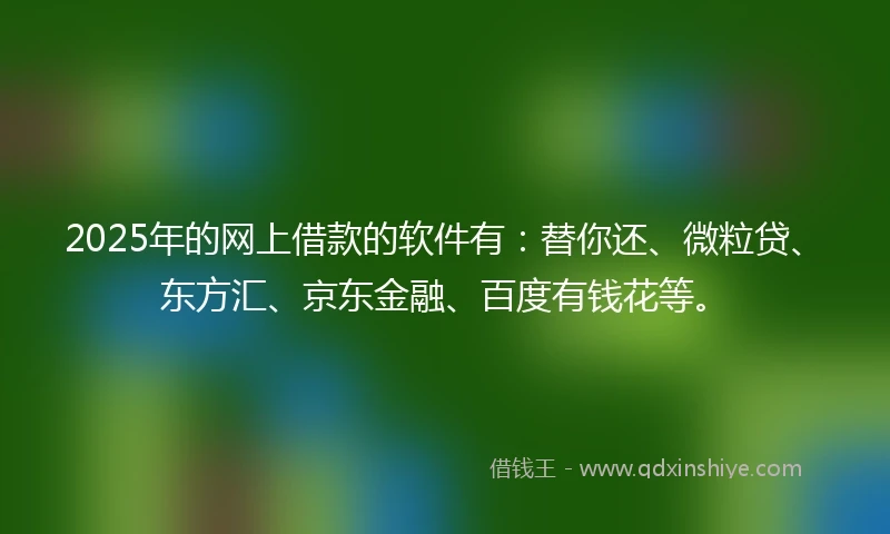 2025年的网上借款的软件有：替你还、微粒贷、东方汇、京东金融、百度有钱花等。