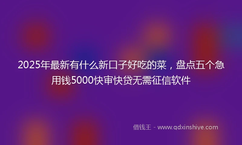 2025年最新有什么新口子好吃的菜，盘点五个急用钱5000快审快贷无需征信软件