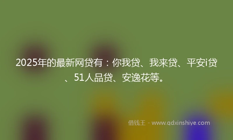 2025年的最新网贷有：你我贷、我来贷、平安i贷、51人品贷、安逸花等。