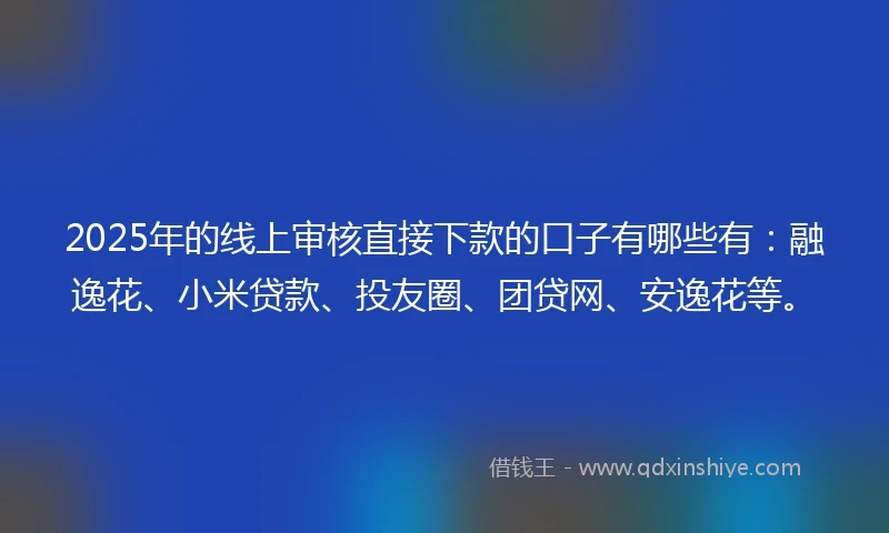 2025年的线上审核直接下款的口子有哪些有：融逸花、小米贷款、投友圈、团贷网、安逸花等。