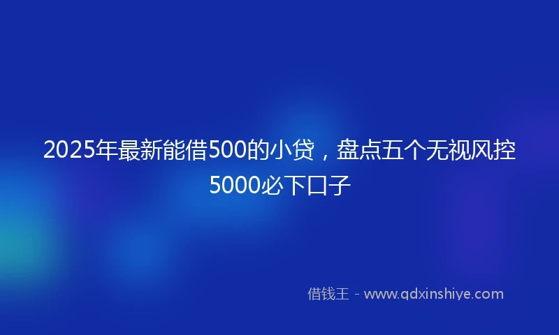 2025年最新能借500的小贷，盘点五个无视风控5000必下口子