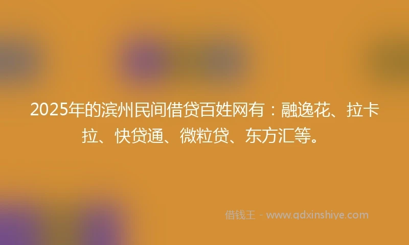 2025年的滨州民间借贷百姓网有：融逸花、拉卡拉、快贷通、微粒贷、东方汇等。