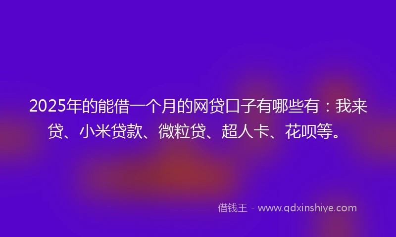 2025年的能借一个月的网贷口子有哪些有：我来贷、小米贷款、微粒贷、超人卡、花呗等。