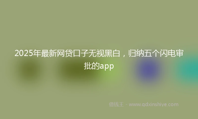 2025年最新网贷口子无视黑白，归纳五个闪电审批的app