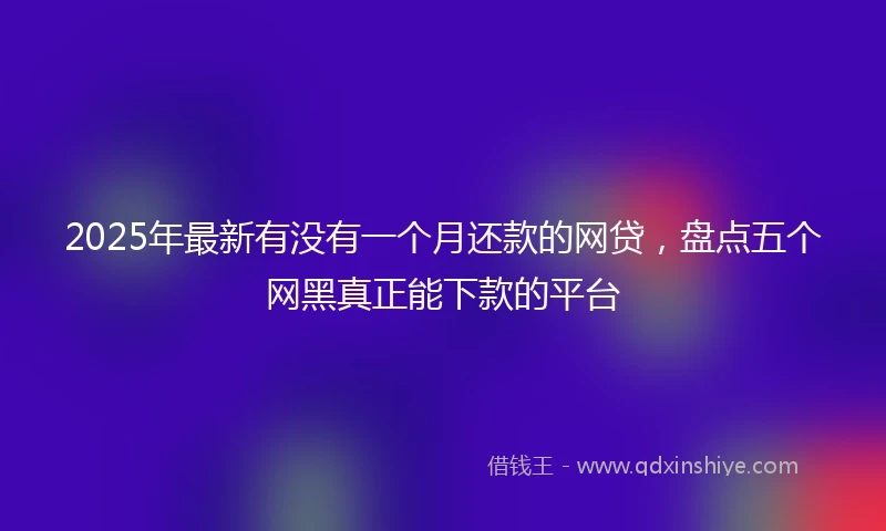 2025年最新有没有一个月还款的网贷，盘点五个网黑真正能下款的平台