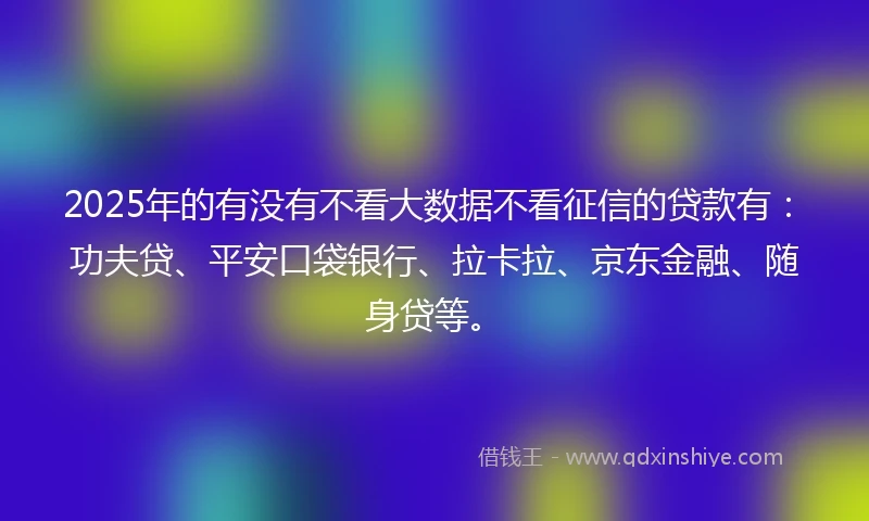 2025年的有没有不看大数据不看征信的贷款有：功夫贷、平安口袋银行、拉卡拉、京东金融、随身贷等。