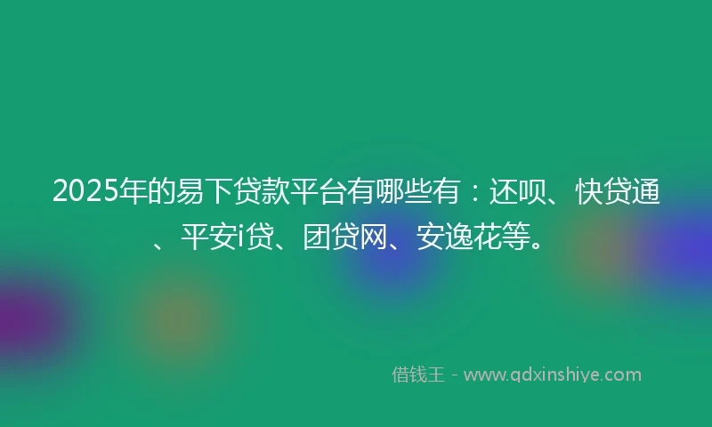 2025年的易下贷款平台有哪些有：还呗、快贷通、平安i贷、团贷网、安逸花等。