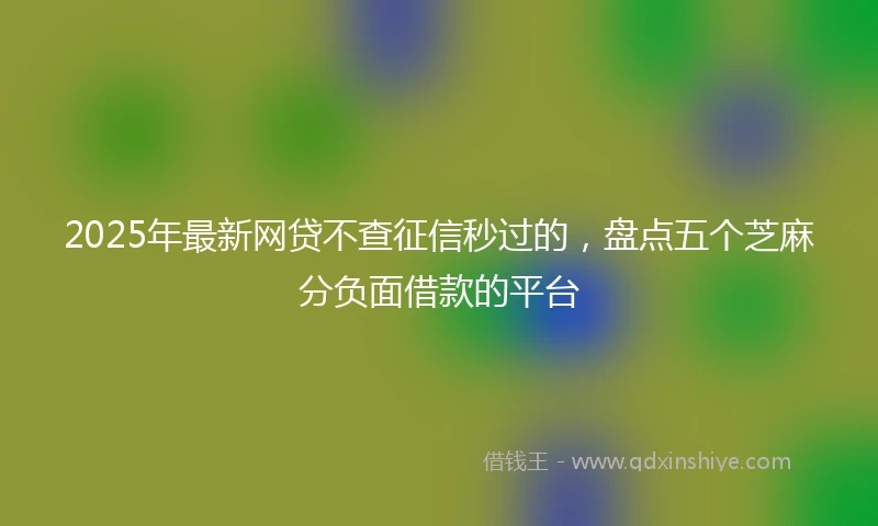2025年最新网贷不查征信秒过的，盘点五个芝麻分负面借款的平台