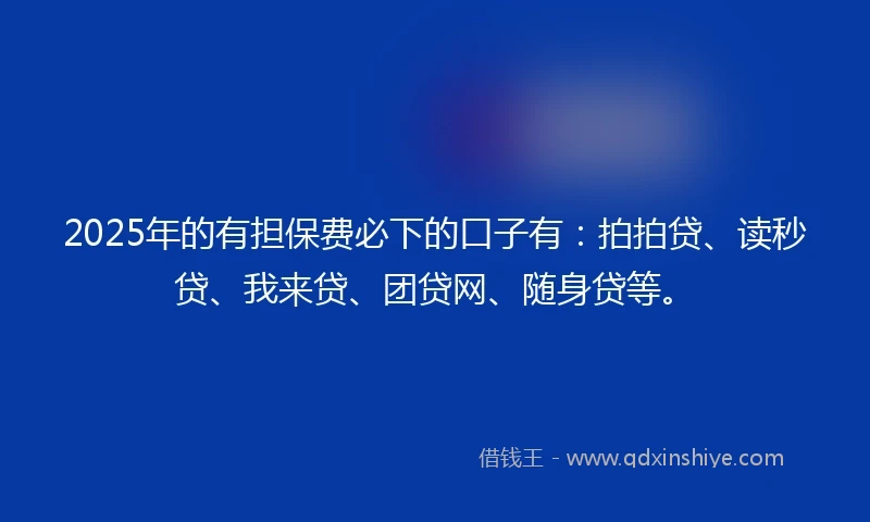 2025年的有担保费必下的口子有：拍拍贷、读秒贷、我来贷、团贷网、随身贷等。