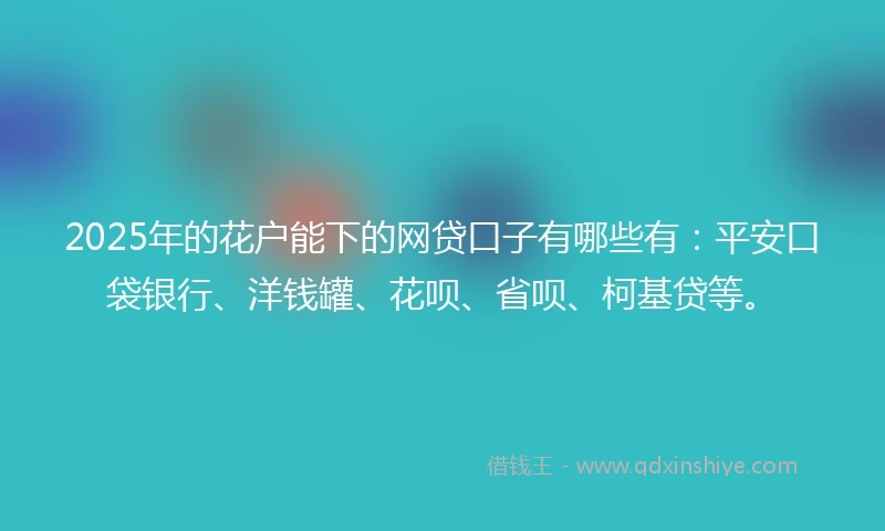 2025年的花户能下的网贷口子有哪些有：平安口袋银行、洋钱罐、花呗、省呗、柯基贷等。