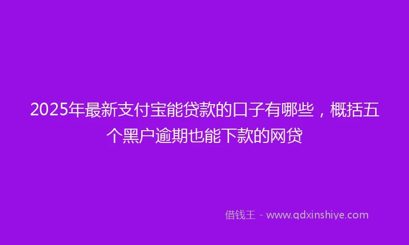 2025年最新支付宝能贷款的口子有哪些，概括五个黑户逾期也能下款的网贷