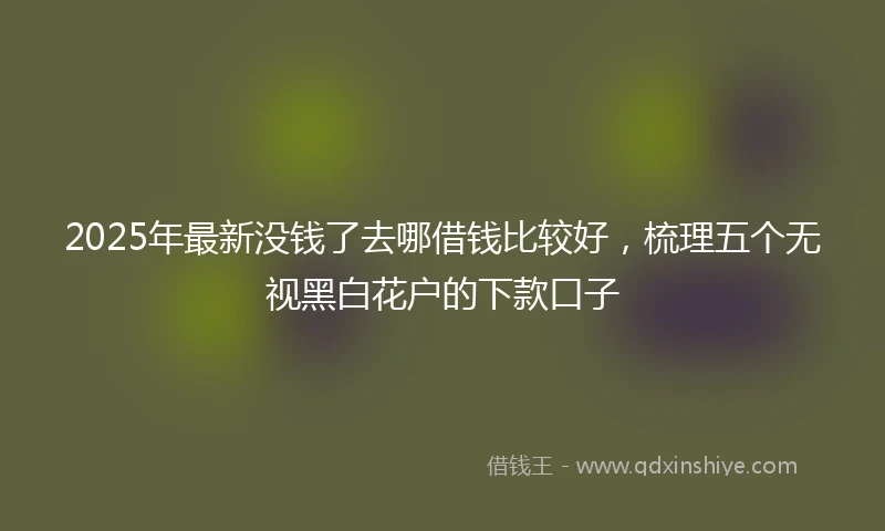 2025年最新没钱了去哪借钱比较好，梳理五个无视黑白花户的下款口子