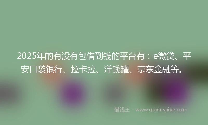 2025年的有没有包借到钱的平台有：e微贷、平安口袋银行、拉卡拉、洋钱罐、京东金融等。