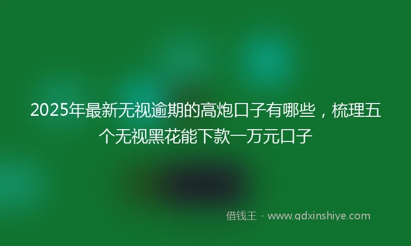 2025年最新无视逾期的高炮口子有哪些，梳理五个无视黑花能下款一万元口子