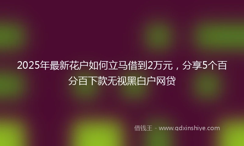 2025年最新花户如何立马借到2万元,分享5个百分百下款无视黑白户网贷