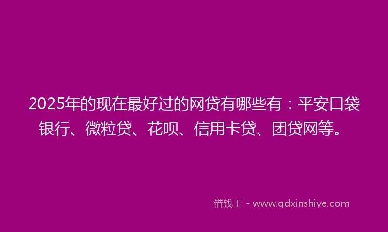 2025年的现在最好过的网贷有哪些有：平安口袋银行、微粒贷、花呗、信用卡贷、团贷网等。