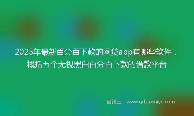 2025年最新百分百下款的网贷app有哪些软件，概括五个无视黑白百分百下款的借款平台