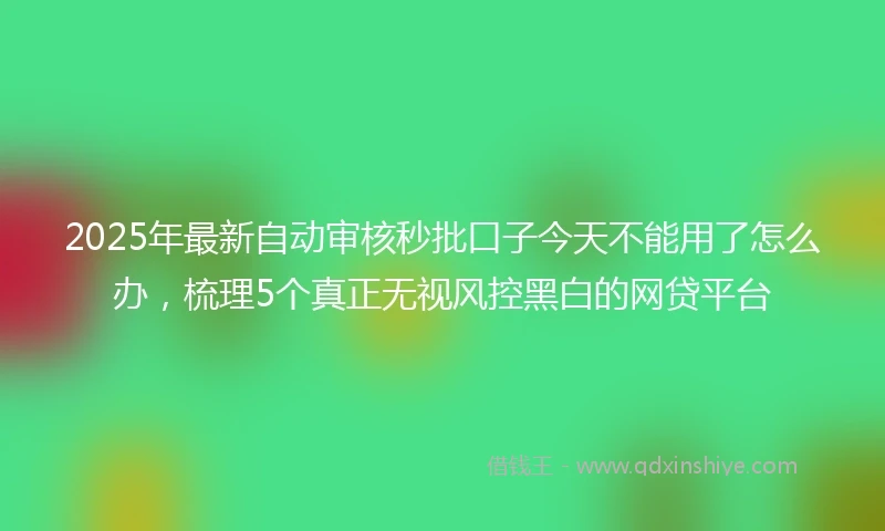 2025年最新自动审核秒批口子今天不能用了怎么办，梳理5个真正无视风控黑白的网贷平台