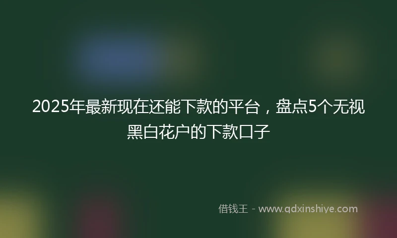 2025年最新现在还能下款的平台，盘点5个无视黑白花户的下款口子