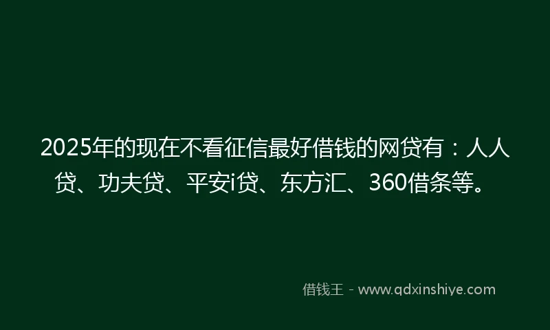 2025年的现在不看征信最好借钱的网贷有：人人贷、功夫贷、平安i贷、东方汇、360借条等。