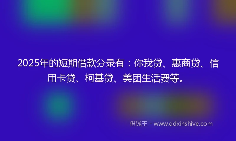 2025年的短期借款分录有：你我贷、惠商贷、信用卡贷、柯基贷、美团生活费等。