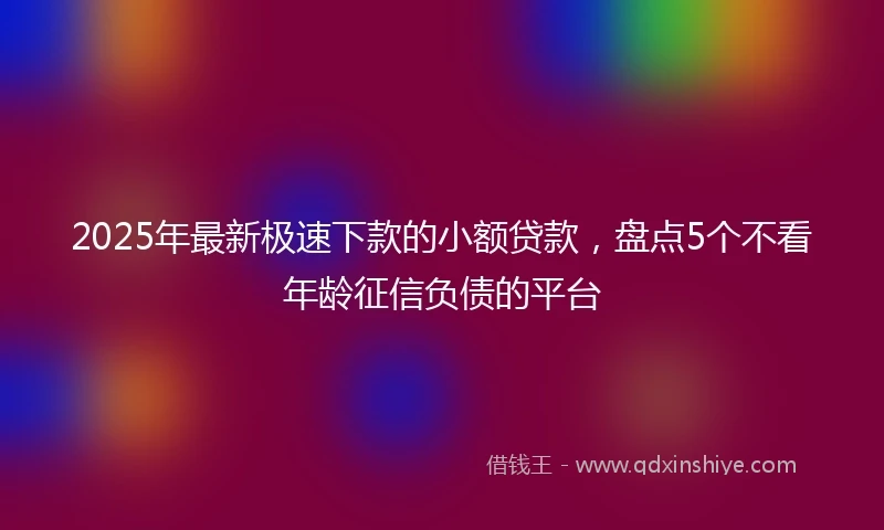 2025年最新极速下款的小额贷款，盘点5个不看年龄征信负债的平台