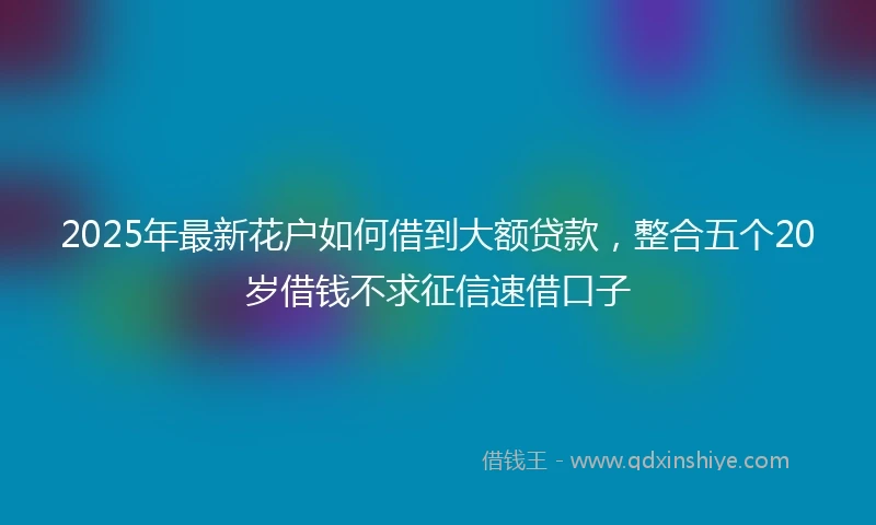 2025年最新花户如何借到大额贷款,整合五个20岁借钱不求征信速借口子