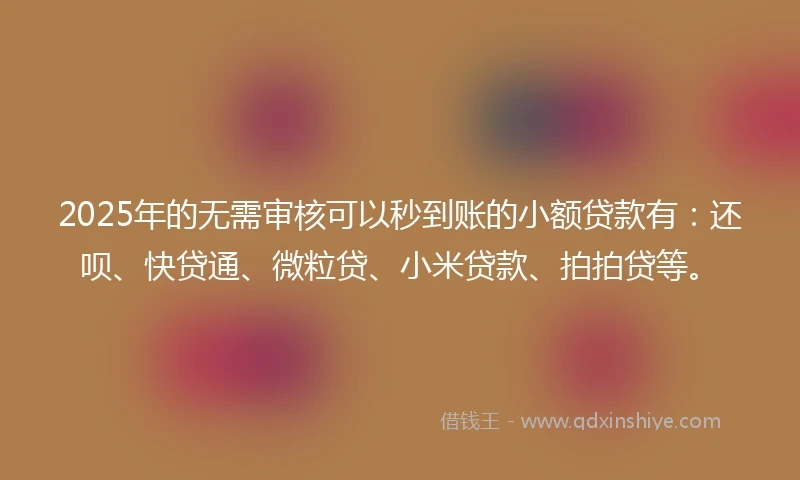 2025年的无需审核可以秒到账的小额贷款有：还呗、快贷通、微粒贷、小米贷款、拍拍贷等。