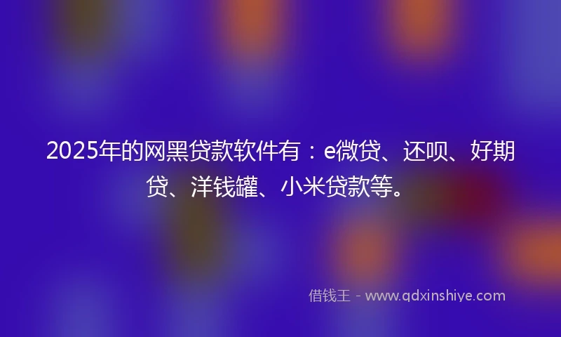 2025年的网黑贷款软件有：e微贷、还呗、好期贷、洋钱罐、小米贷款等。