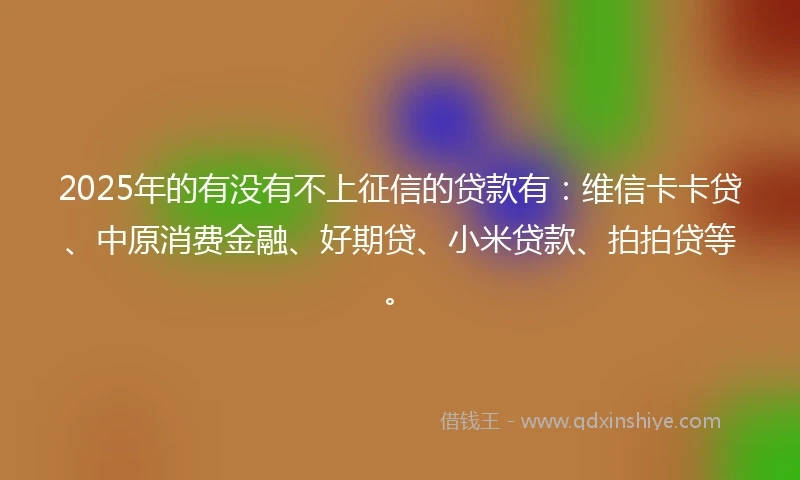2025年的有没有不上征信的贷款有：维信卡卡贷、中原消费金融、好期贷、小米贷款、拍拍贷等。