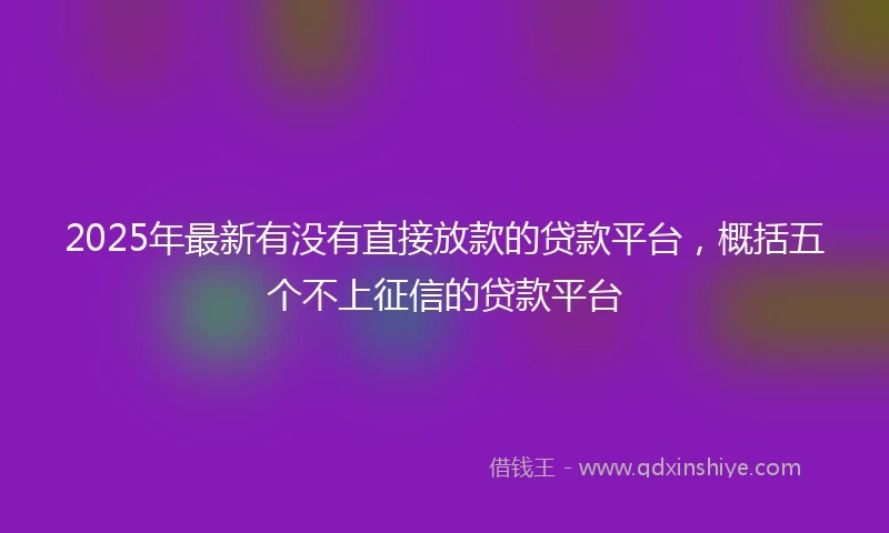 2025年最新有没有直接放款的贷款平台，概括五个不上征信的贷款平台