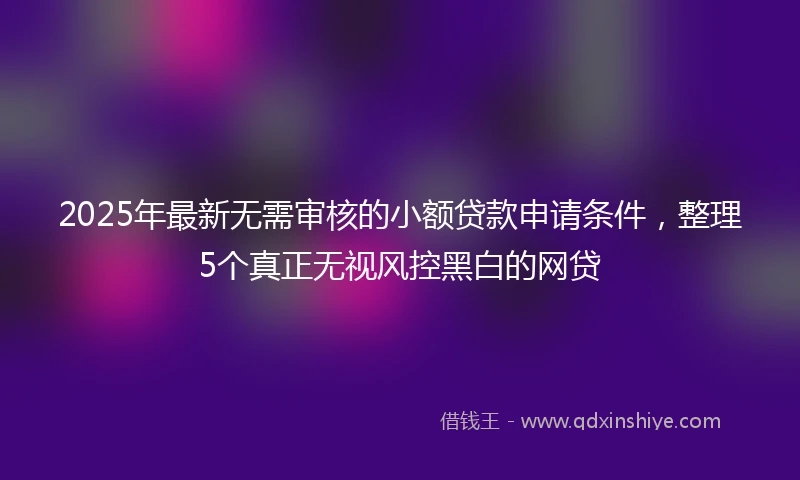 2025年最新无需审核的小额贷款申请条件，整理5个真正无视风控黑白的网贷