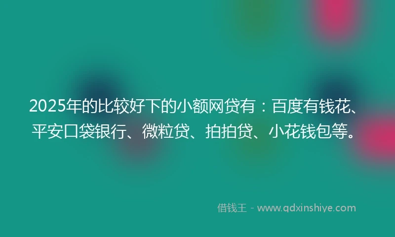 2025年的比较好下的小额网贷有：百度有钱花、平安口袋银行、微粒贷、拍拍贷、小花钱包等。