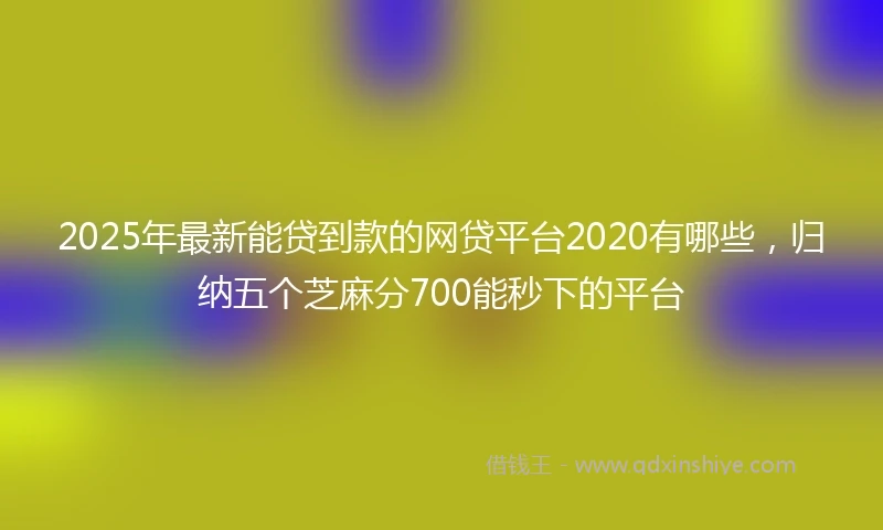 2025年最新能贷到款的网贷平台2020有哪些，归纳五个芝麻分700能秒下的平台