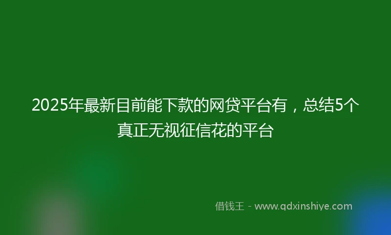 2025年最新目前能下款的网贷平台有，总结5个真正无视征信花的平台