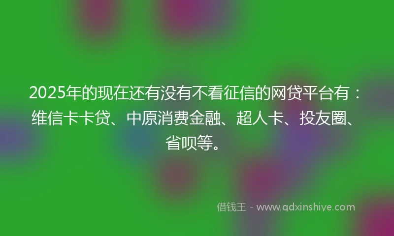 2025年的现在还有没有不看征信的网贷平台有：维信卡卡贷、中原消费金融、超人卡、投友圈、省呗等。