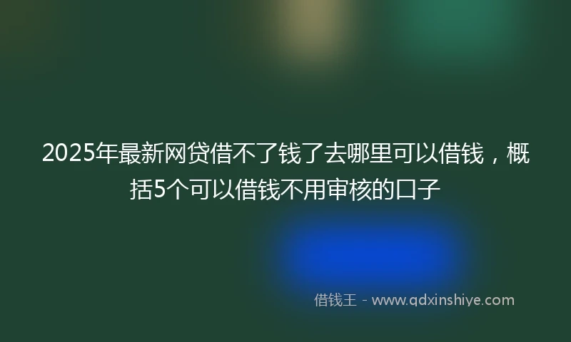 2025年最新网贷借不了钱了去哪里可以借钱，概括5个可以借钱不用审核的口子